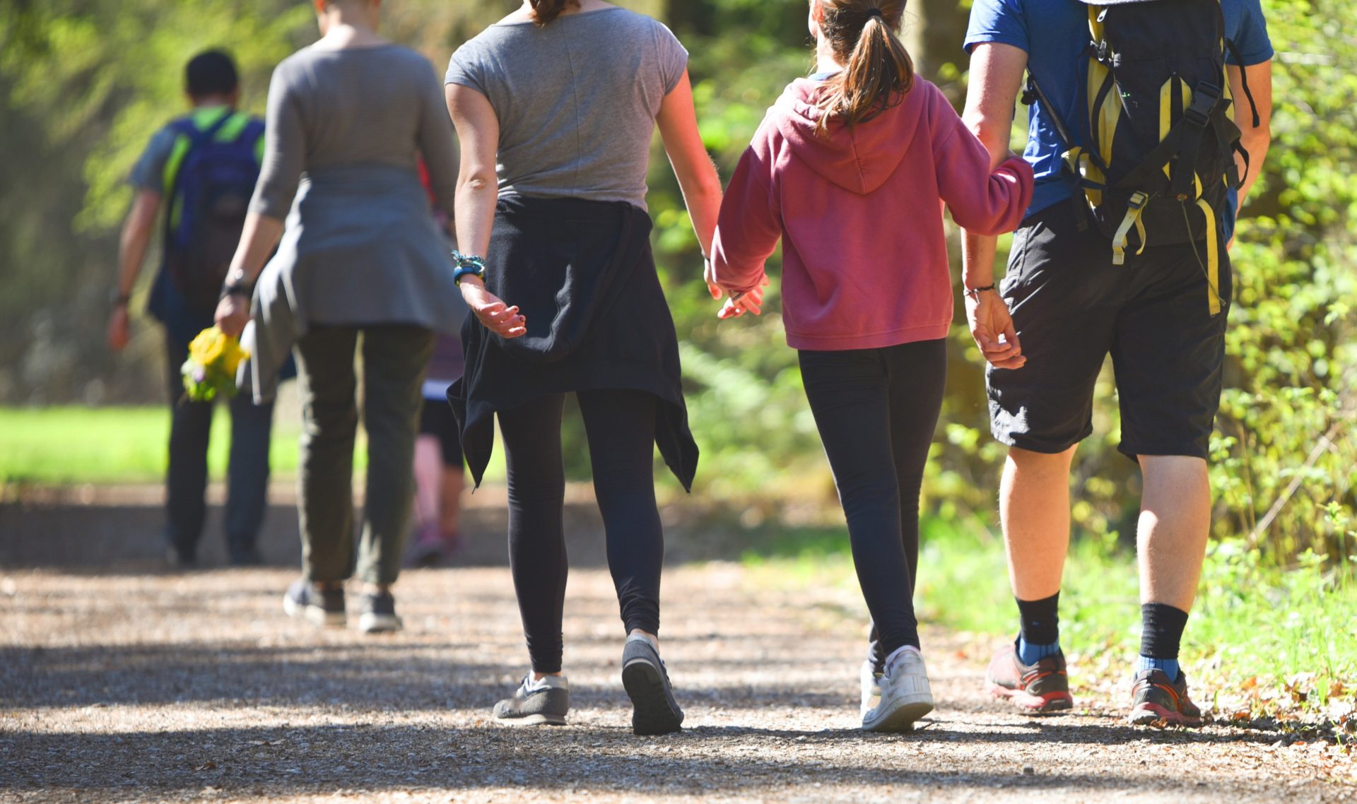 Camminata della salute di Medicina